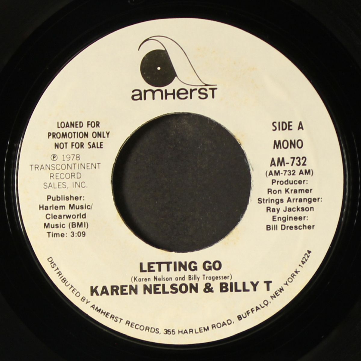 letting go / mono by KAREN NELSON & BILLY T