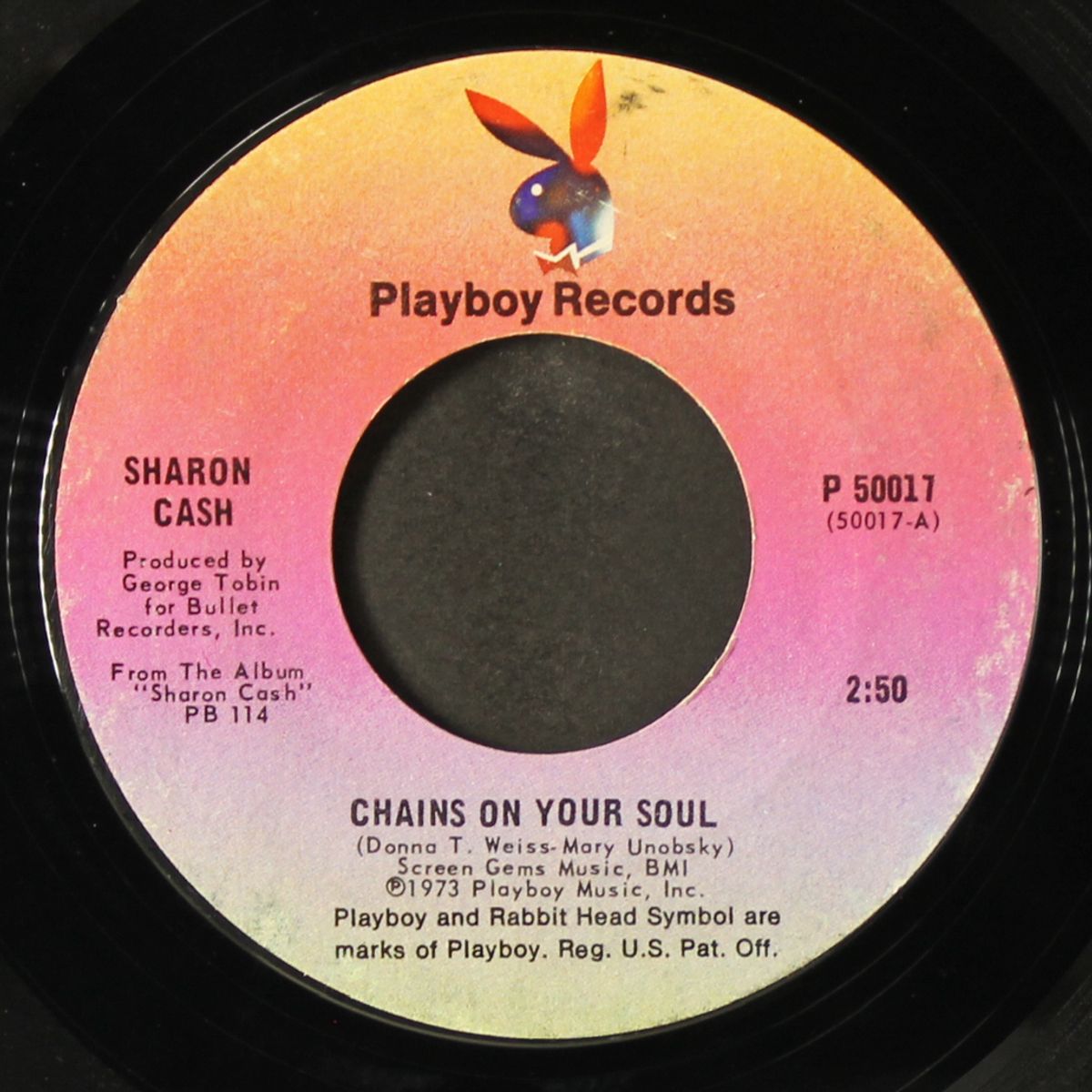 chains on your soul by SHARON CASH