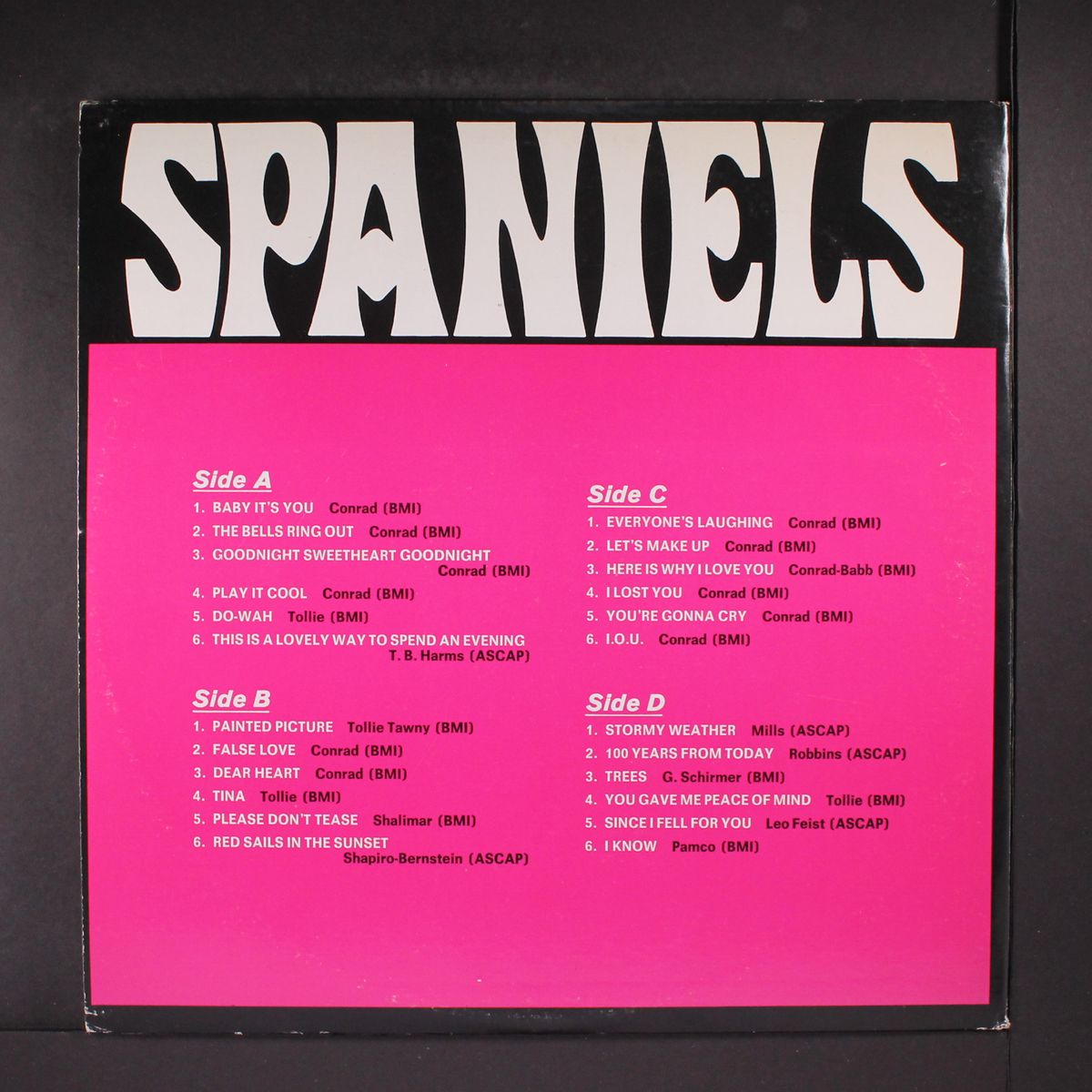 spaniels by SPANIELS