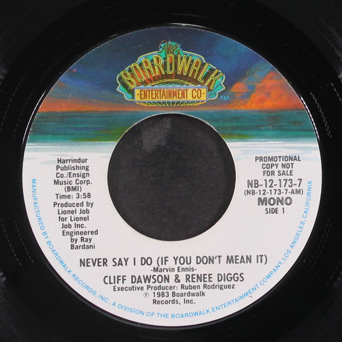 never say i do if you don't mean it / mono by CLIFF DAWSON & RENEE DIGGS
