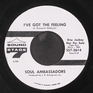 SOUL AMBASSADORS