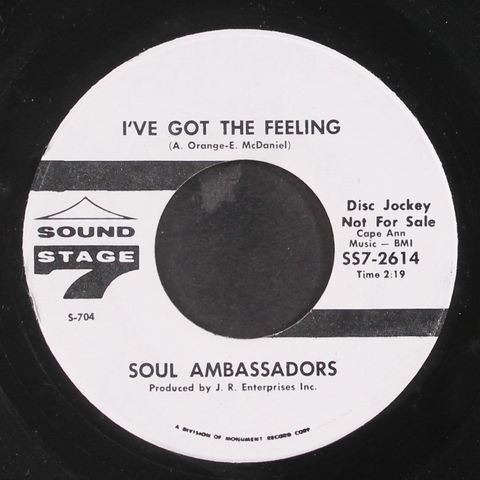 SOUL AMBASSADORS