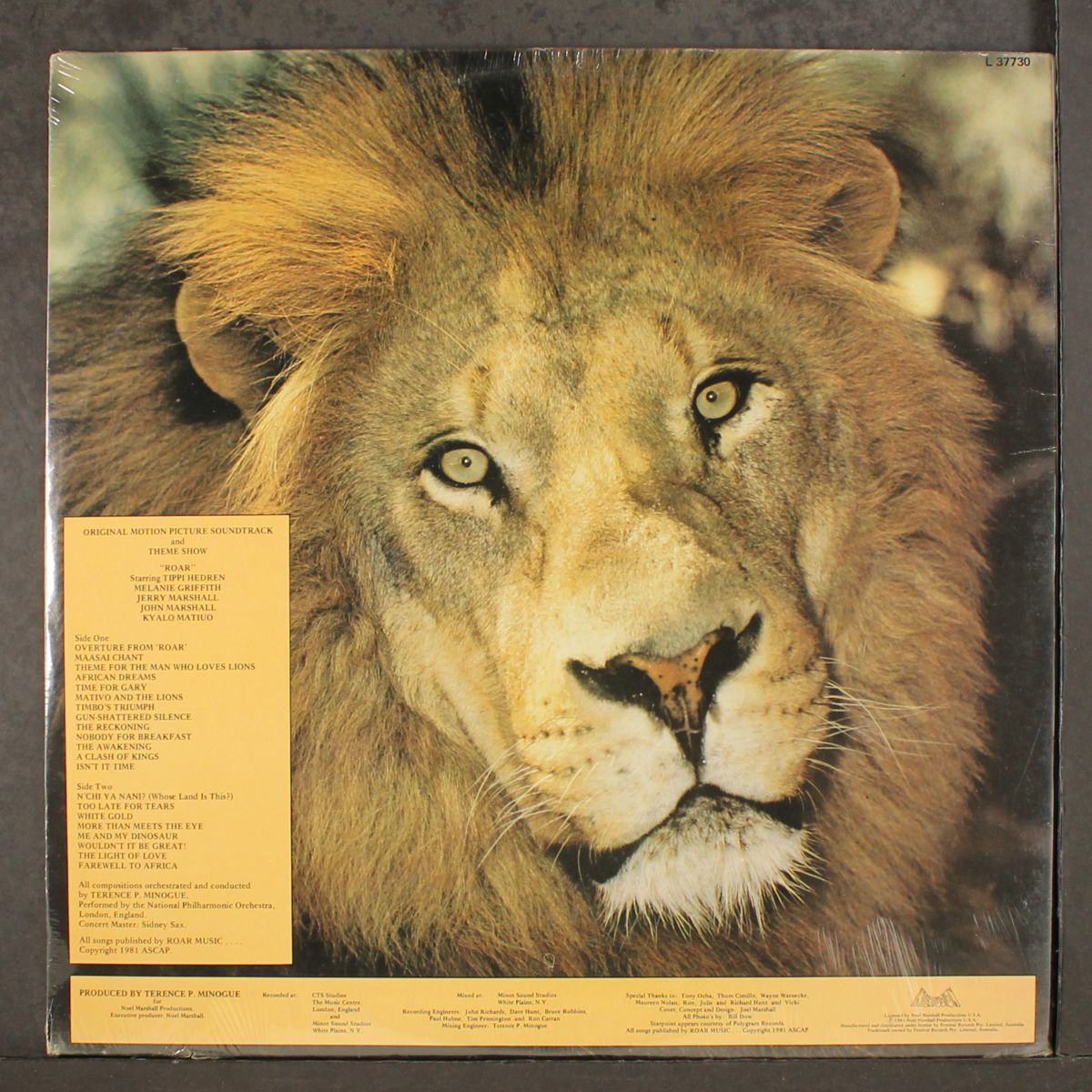 roar by SOUNDTRACK