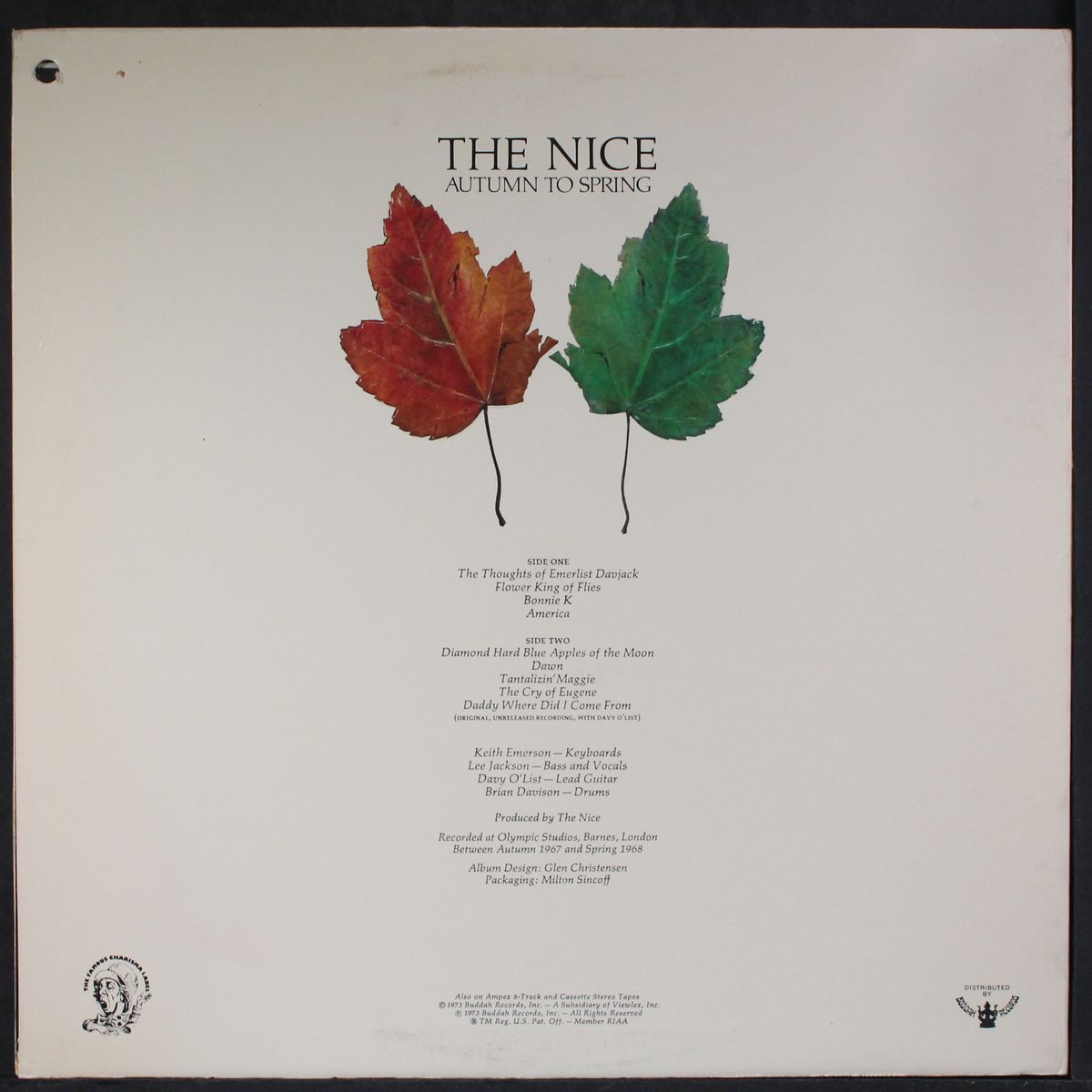 autumn to spring by NICE