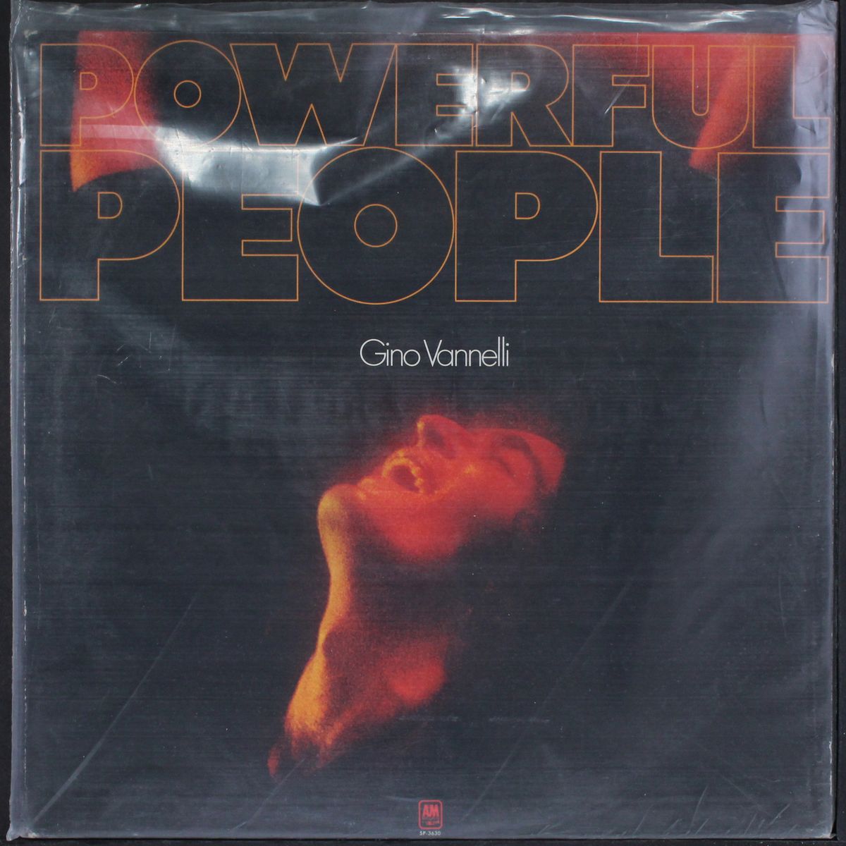 powerful people by GINO VANNELLI