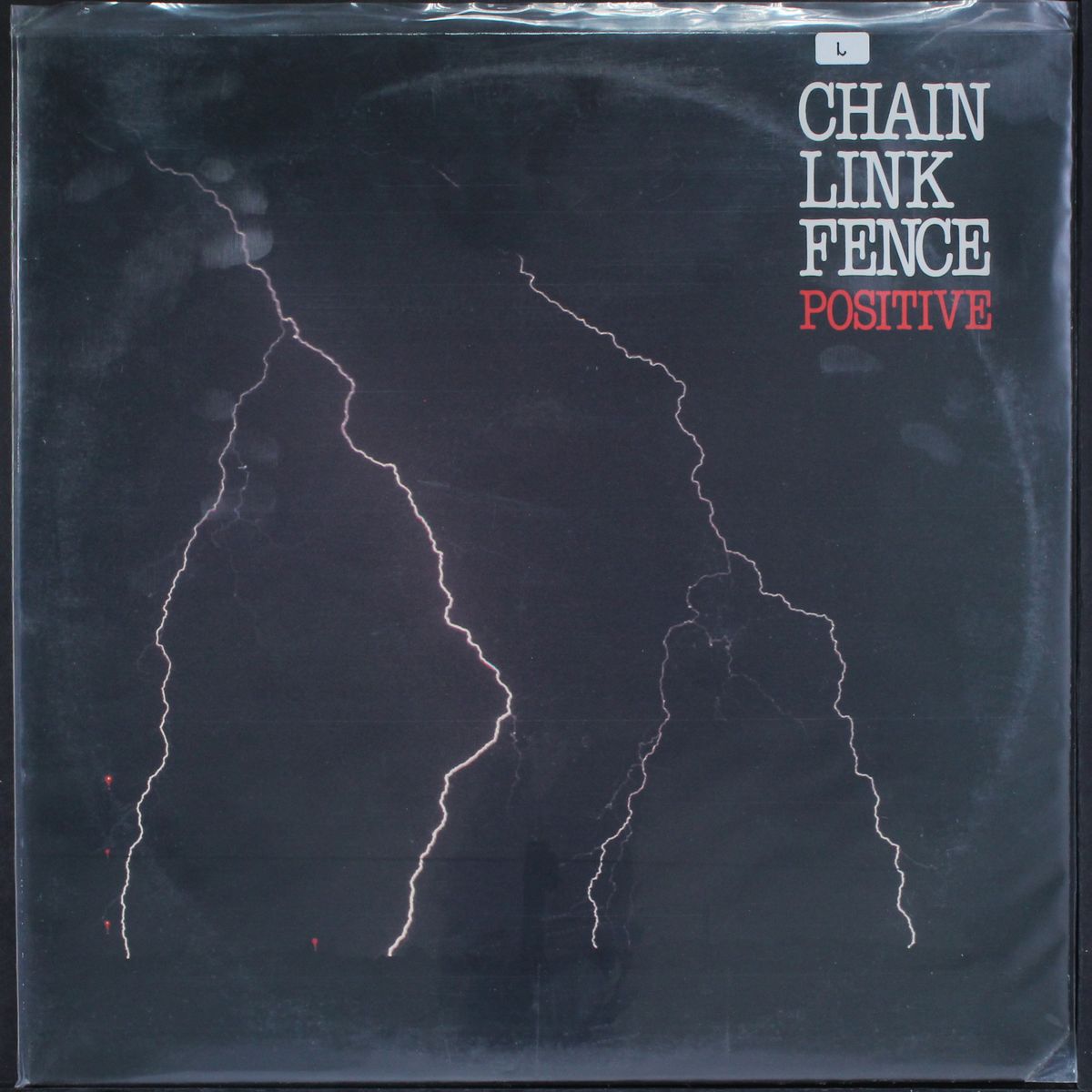 positive by CHAIN LINK FENCE
