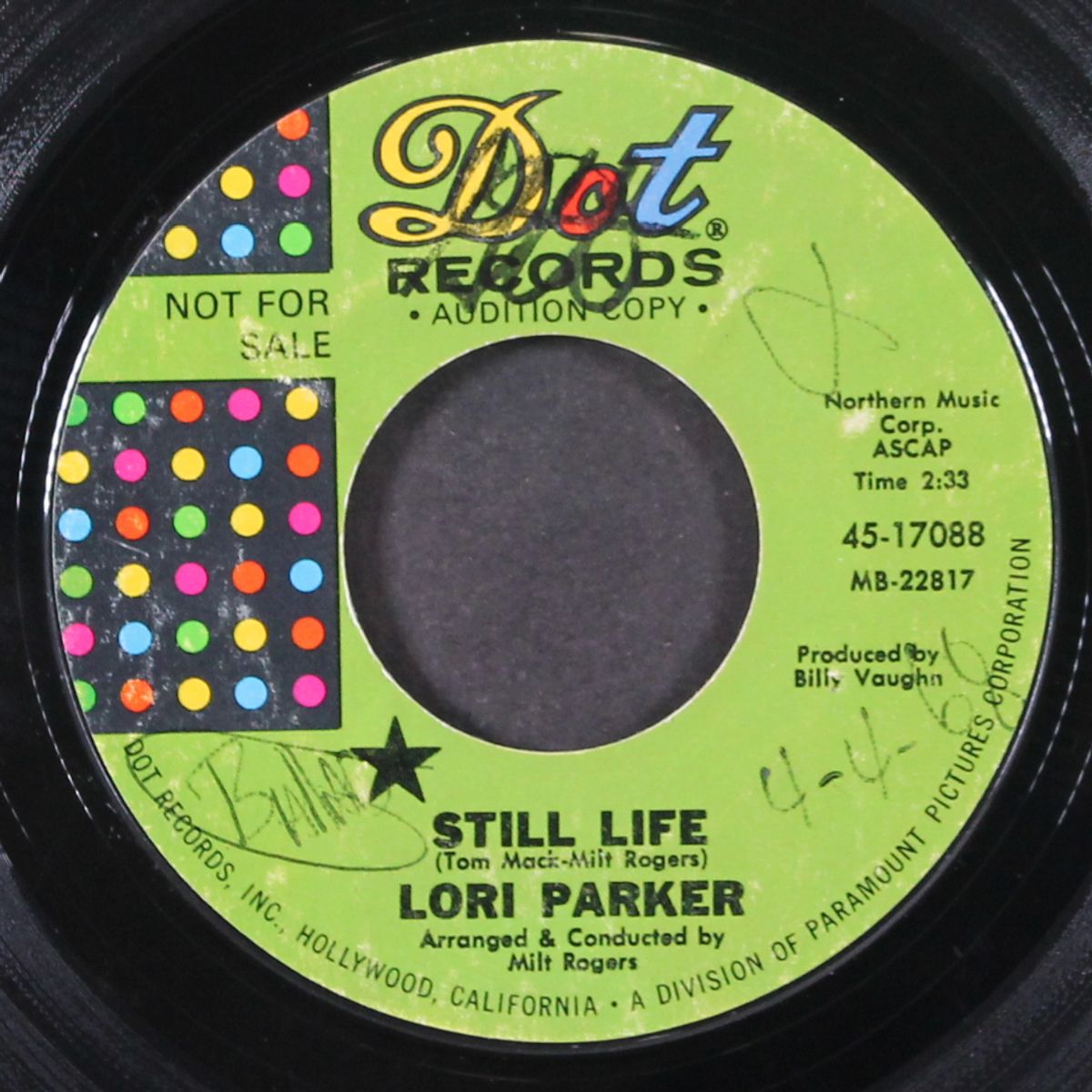 look at me / still life by LORI PARKER