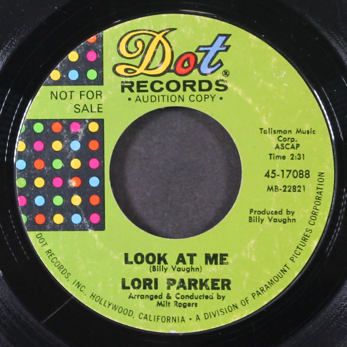 look at me / still life by LORI PARKER
