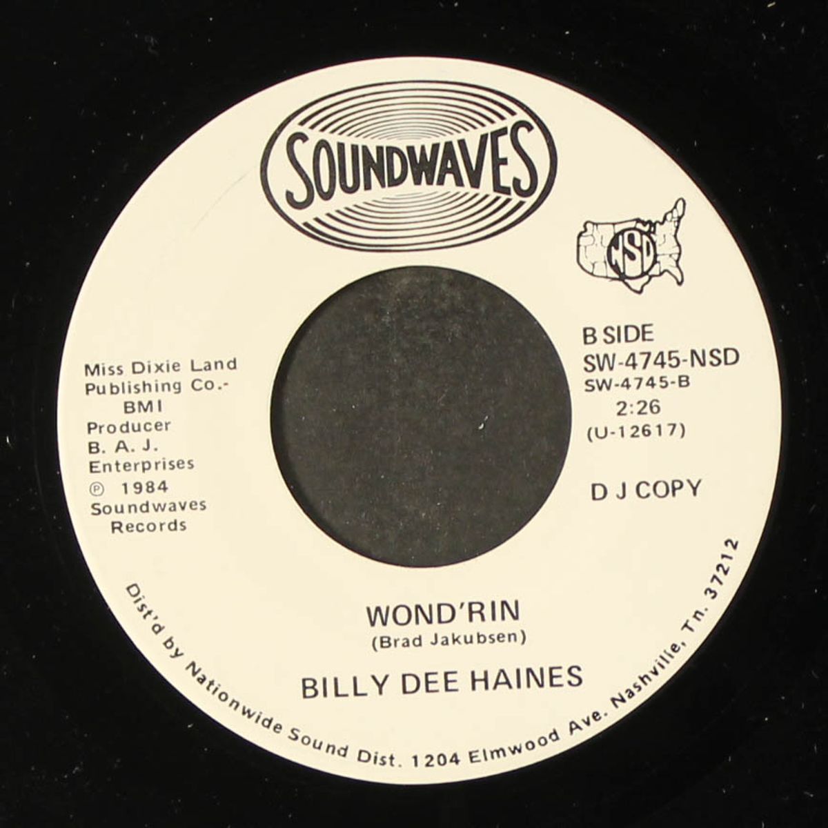 pain free by BILLY DEE HAINES