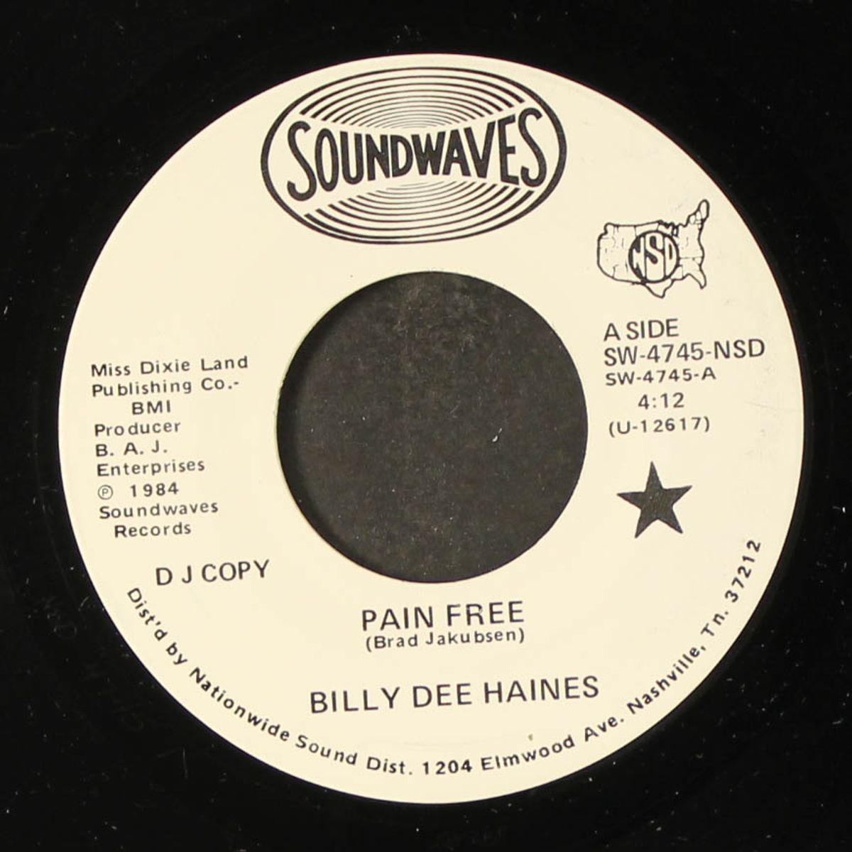 pain free by BILLY DEE HAINES