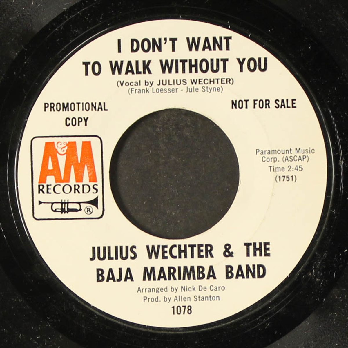 i don't want to walk without you by JULIUS WECHTER & BAJA MARIMBA BAND
