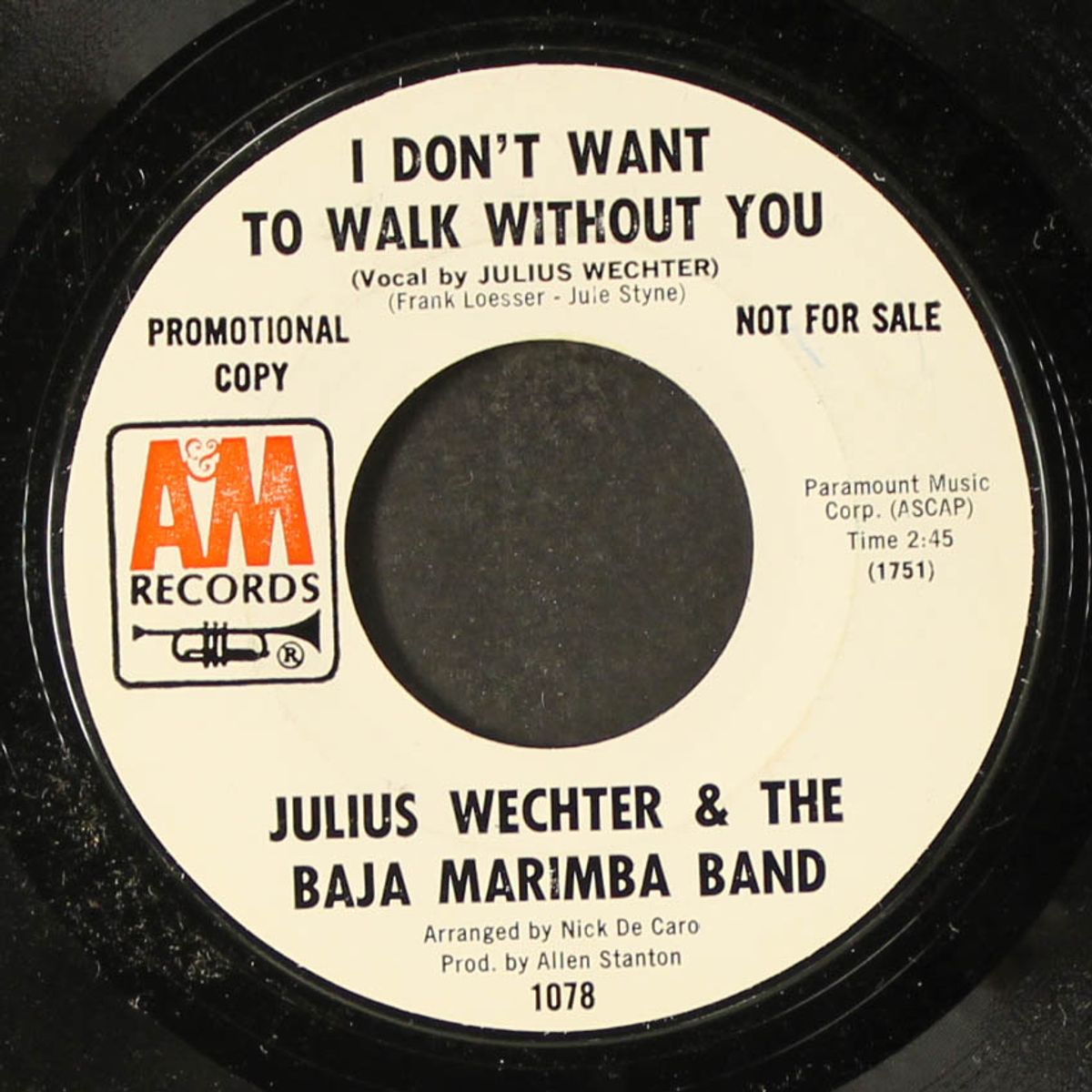 i don't want to walk without you by JULIUS WECHTER & BAJA MARIMBA BAND