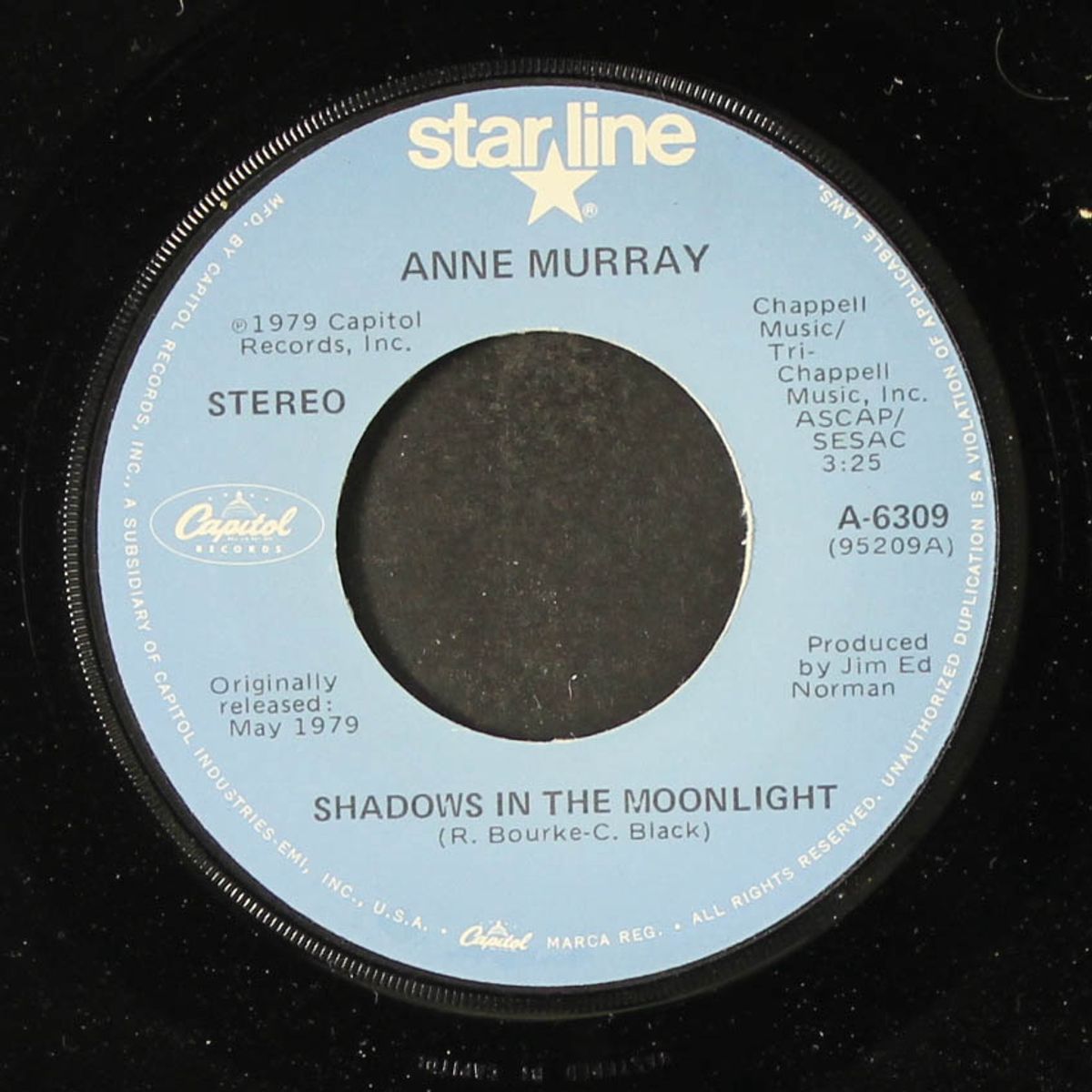 shadows in the moonlight by ANNE MURRAY