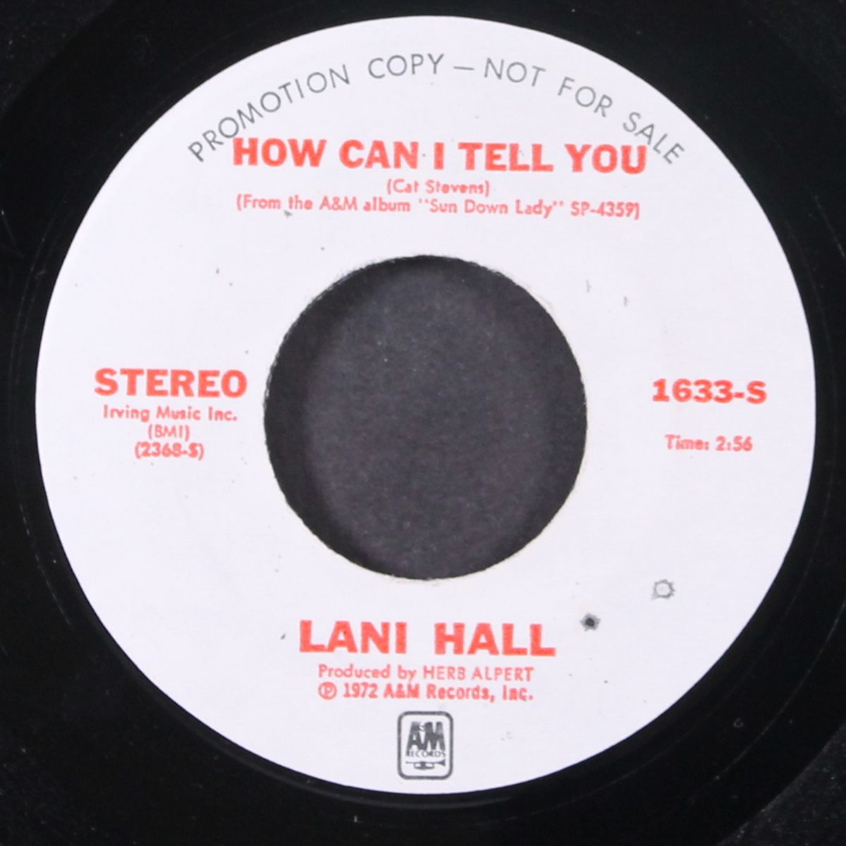 sun down / how can i tell you by LANI HALL