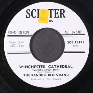 RANDOM BLUES BAND