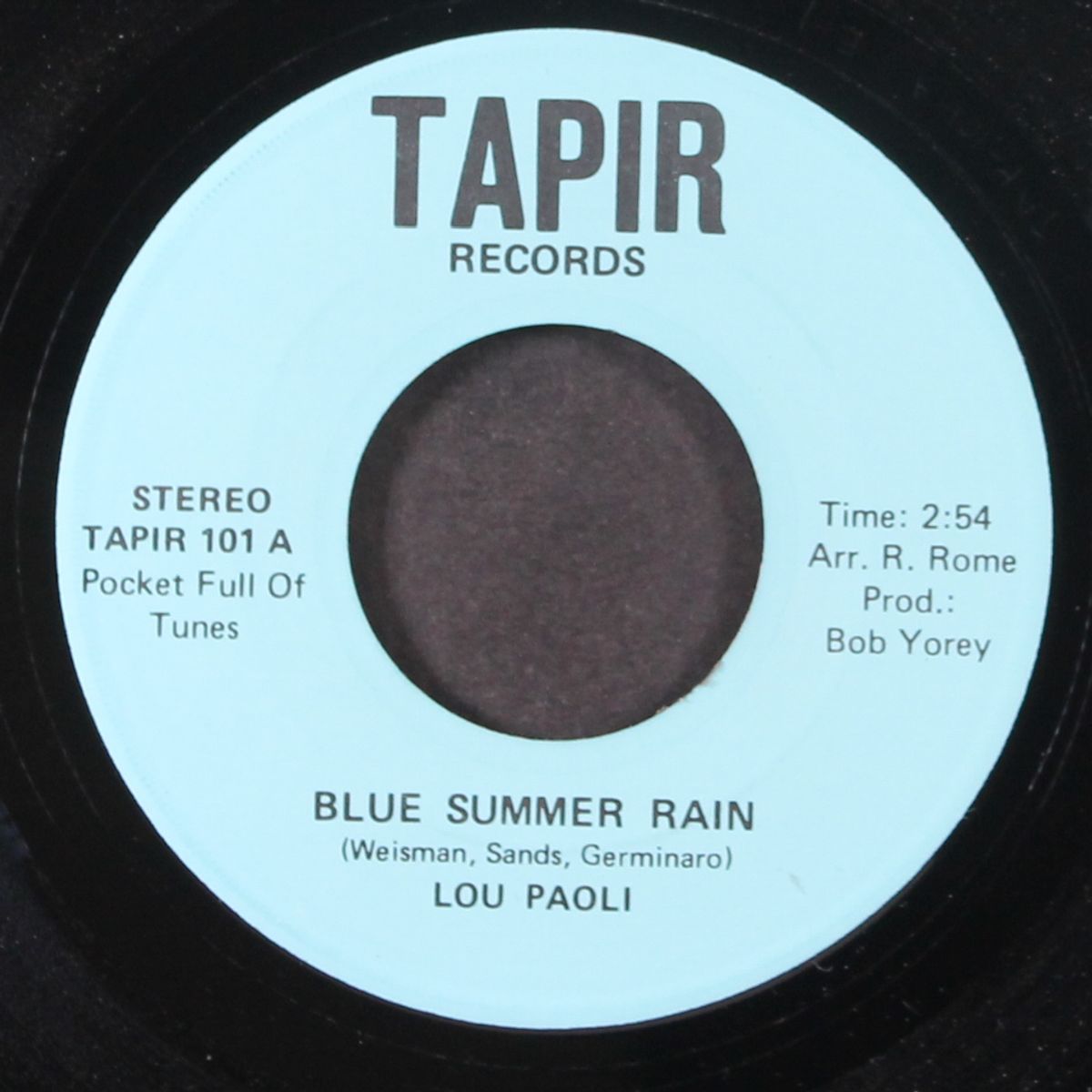 blue summer rain / a rose by any other name by LOU PAOLI