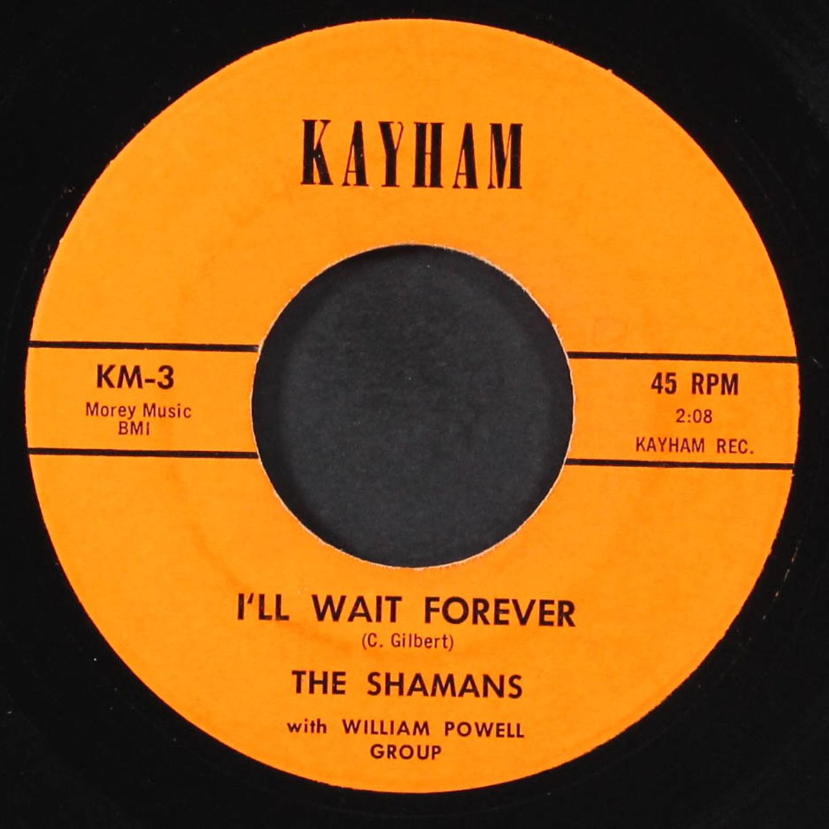 i'll wait forever / southern california by SHAMANS