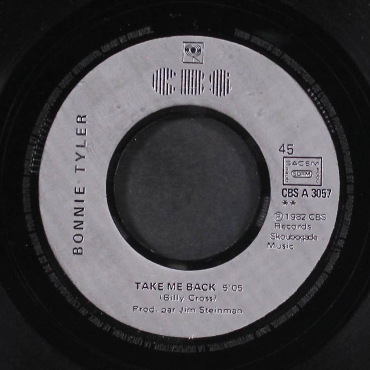 total eclipse of the heart by BONNIE TYLER