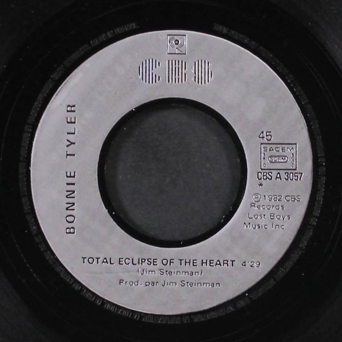 total eclipse of the heart by BONNIE TYLER