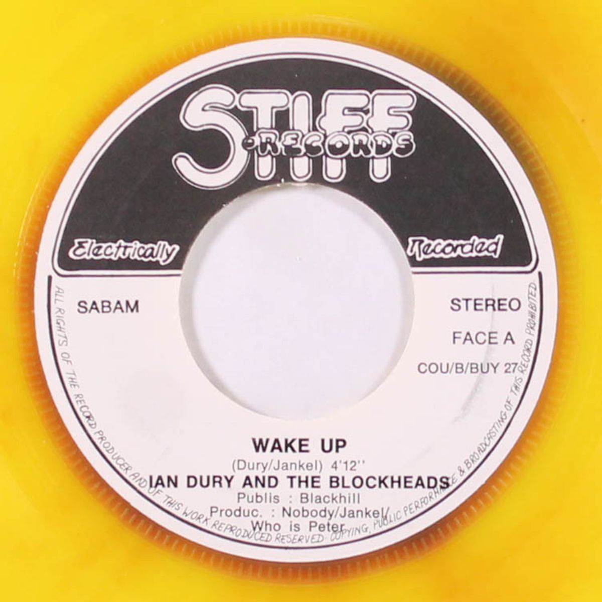 what a waste! by IAN DURY