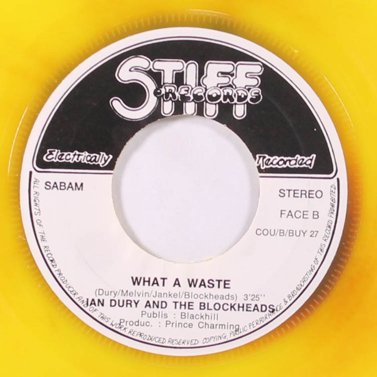 what a waste! by IAN DURY