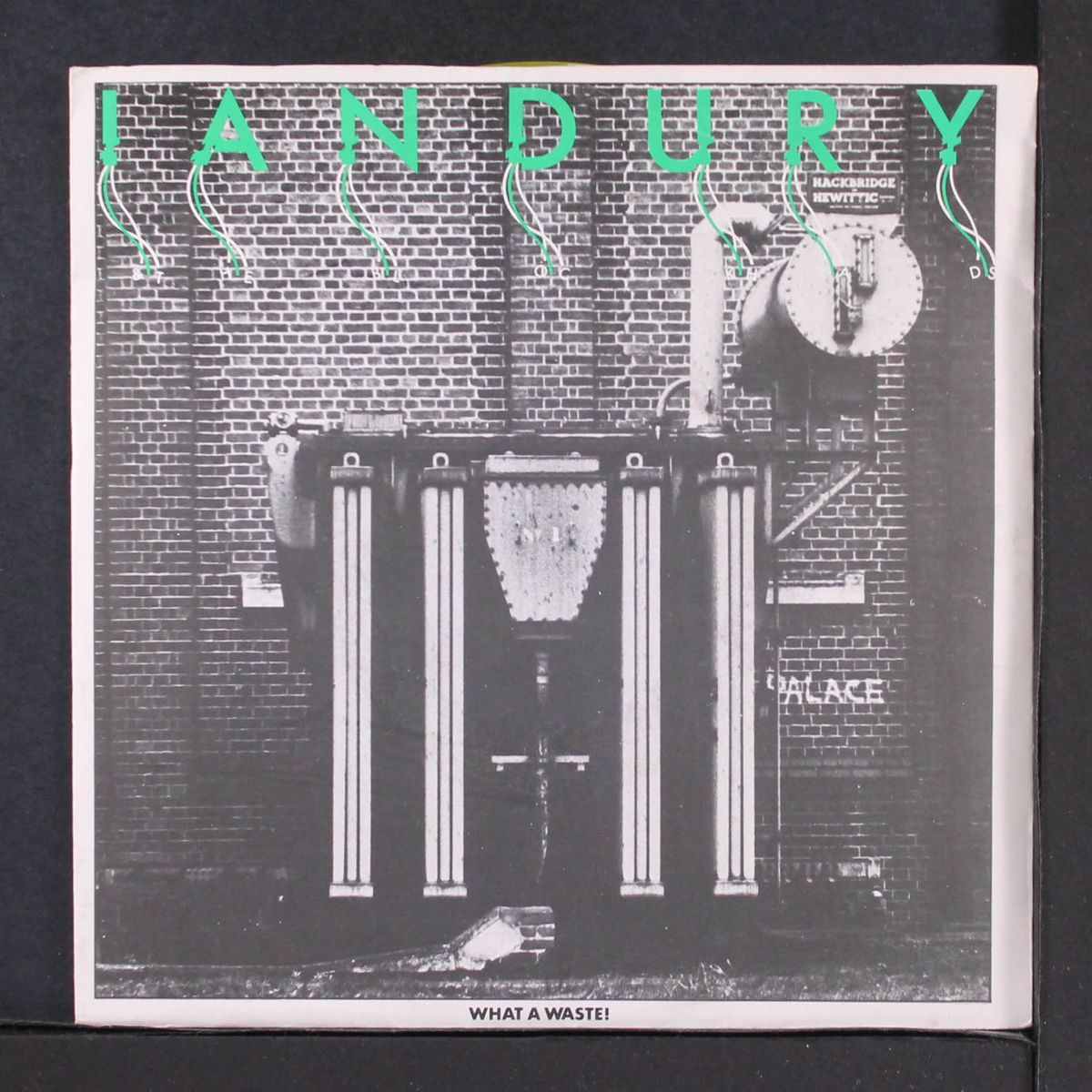 what a waste! by IAN DURY