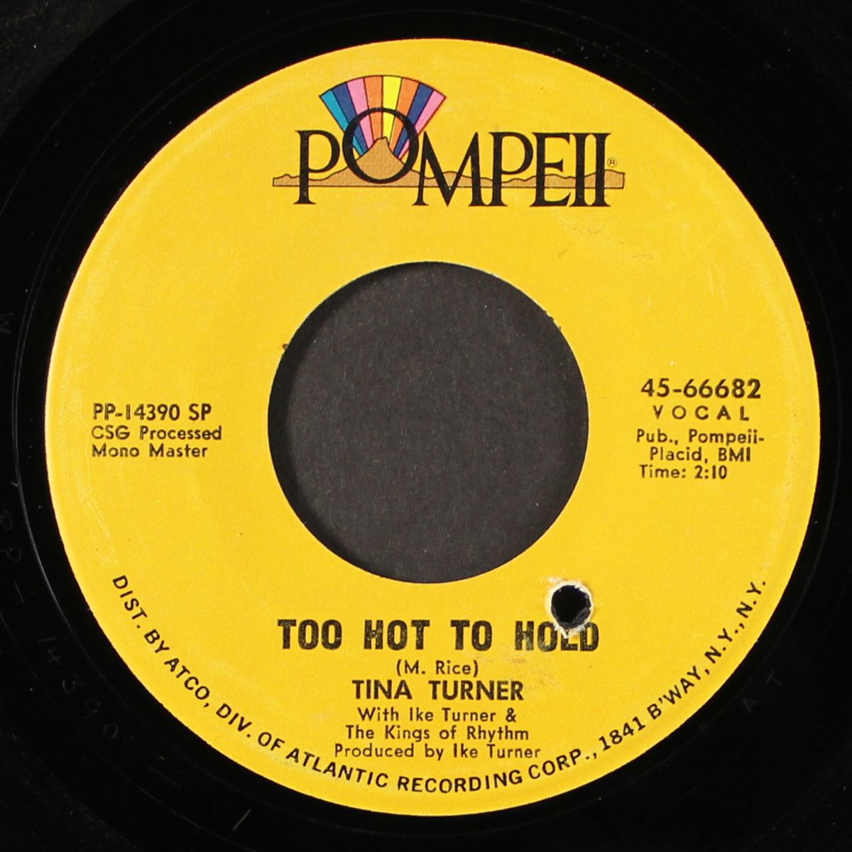 too hold to hold / you got what you wanted by TINA TURNER