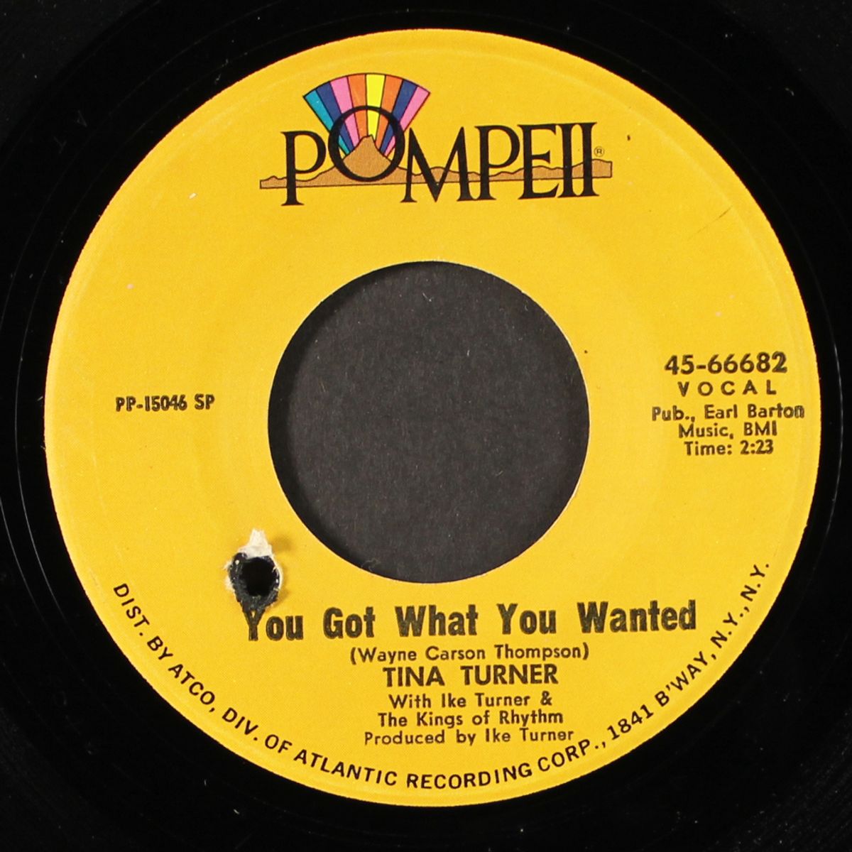 too hold to hold / you got what you wanted by TINA TURNER