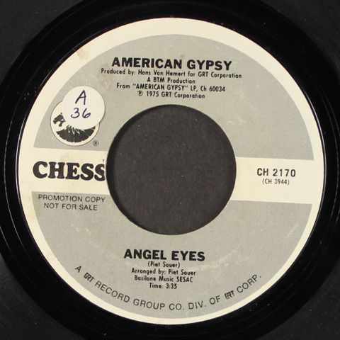 AMERICAN GYPSY