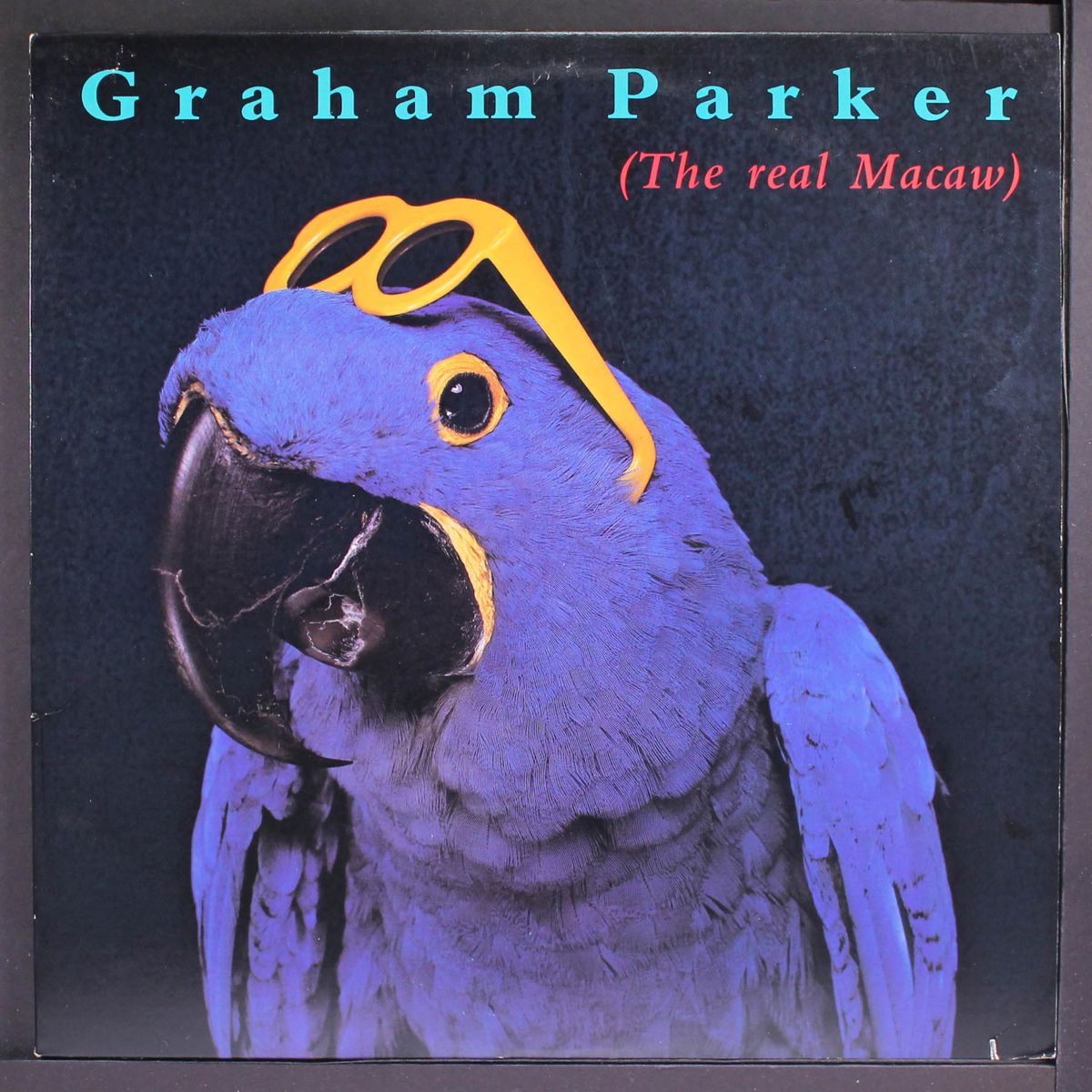 the real macaw by GRAHAM PARKER