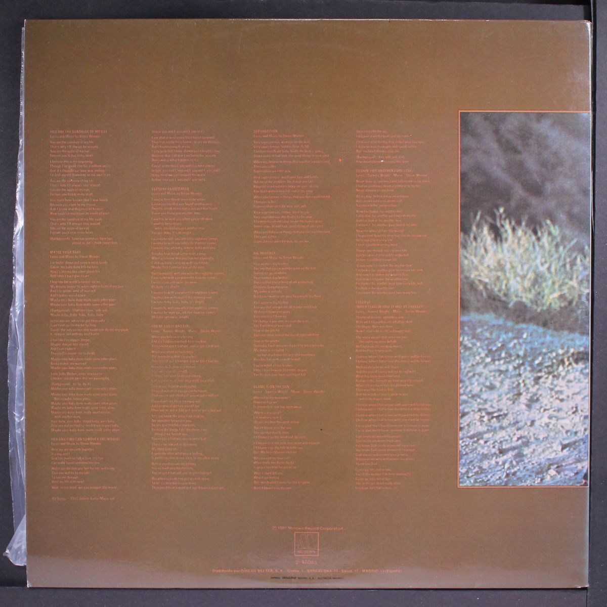 talking book by STEVIE WONDER