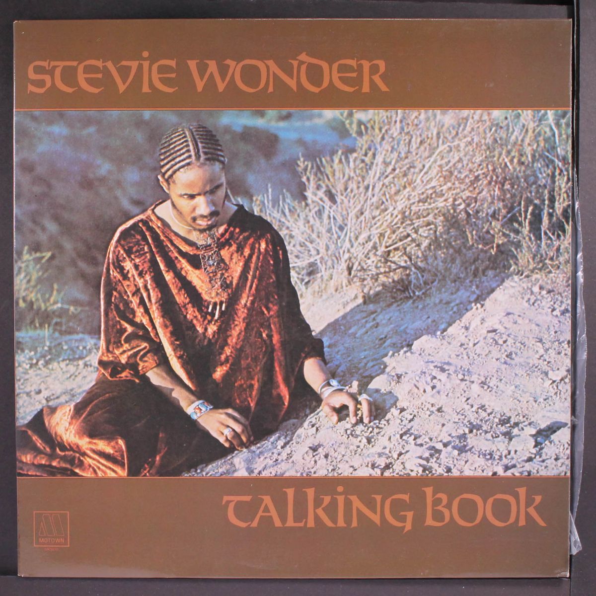 talking book by STEVIE WONDER