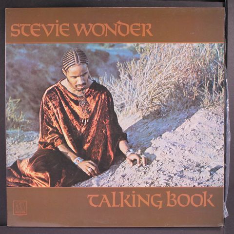 STEVIE WONDER