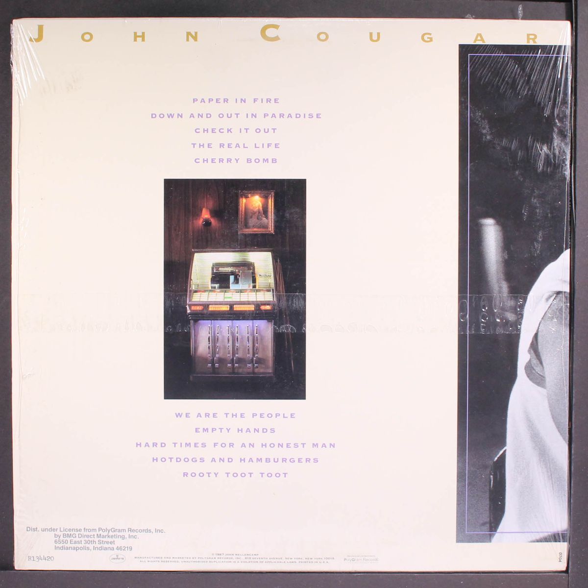 the lonesome jubilee by JOHN COUGAR MELLENCAMP