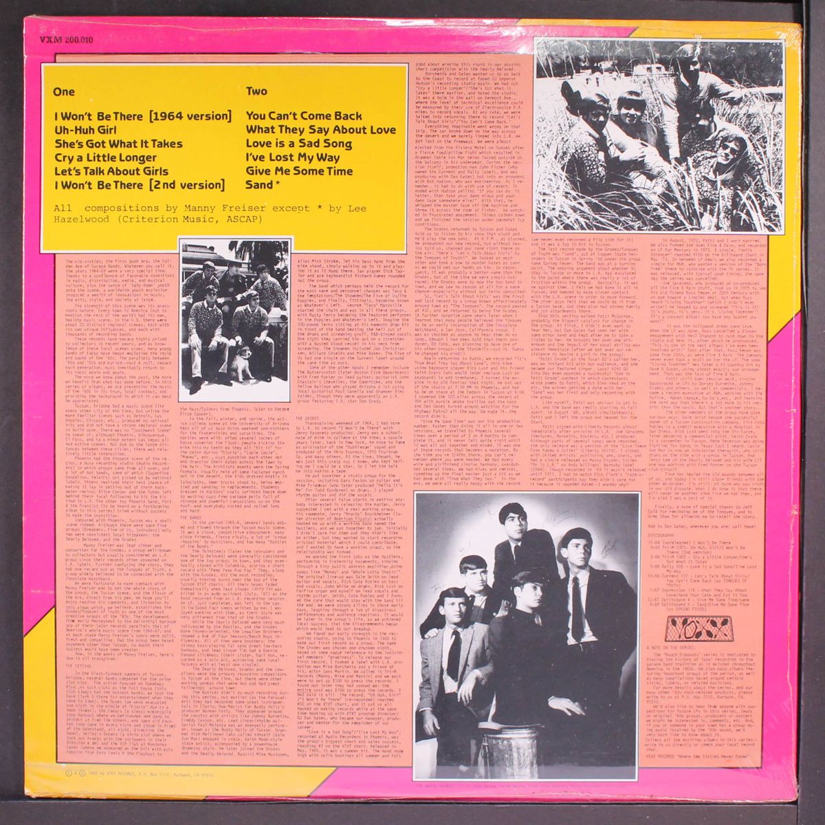 rough diamonds: the history of garage band music volume two by TONGUES OF TRUTH / GRODES