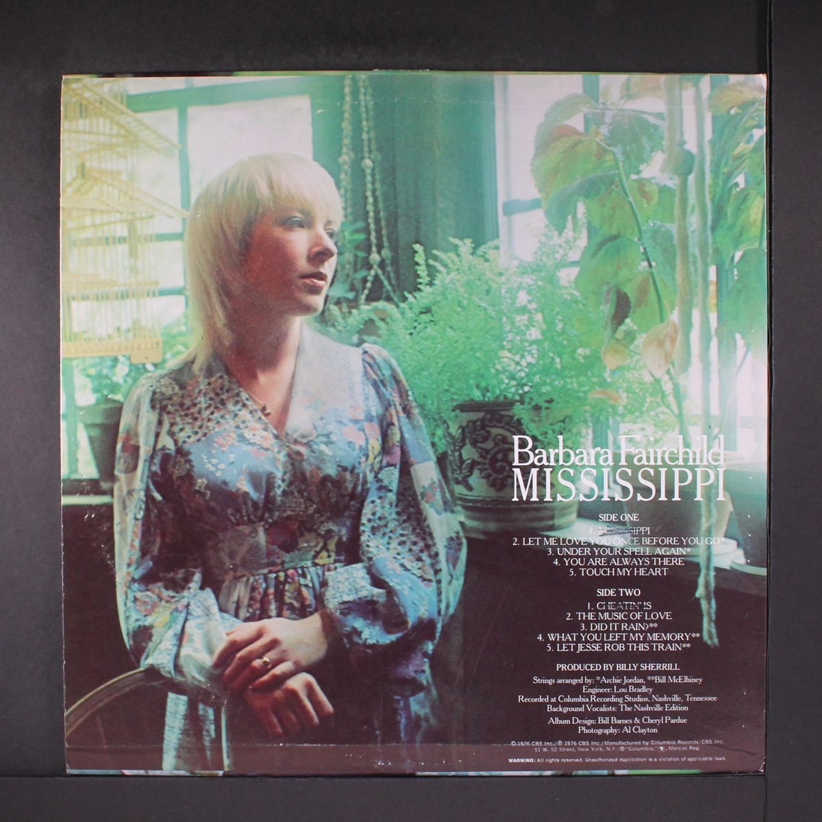 mississippi by BARBARA FAIRCHILD