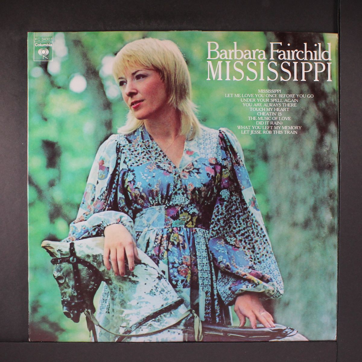 mississippi by BARBARA FAIRCHILD