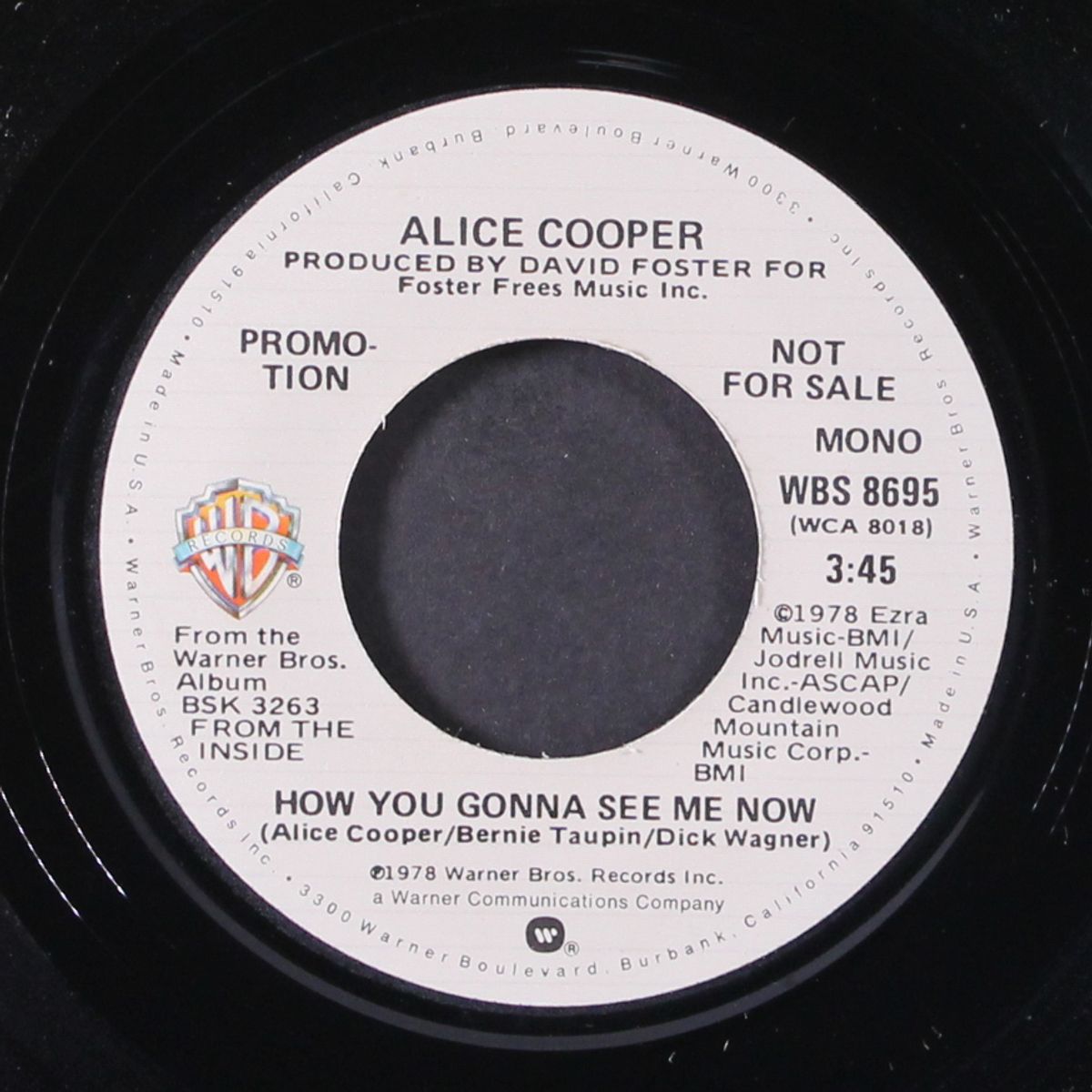how you gonna see me now / mono by ALICE COOPER