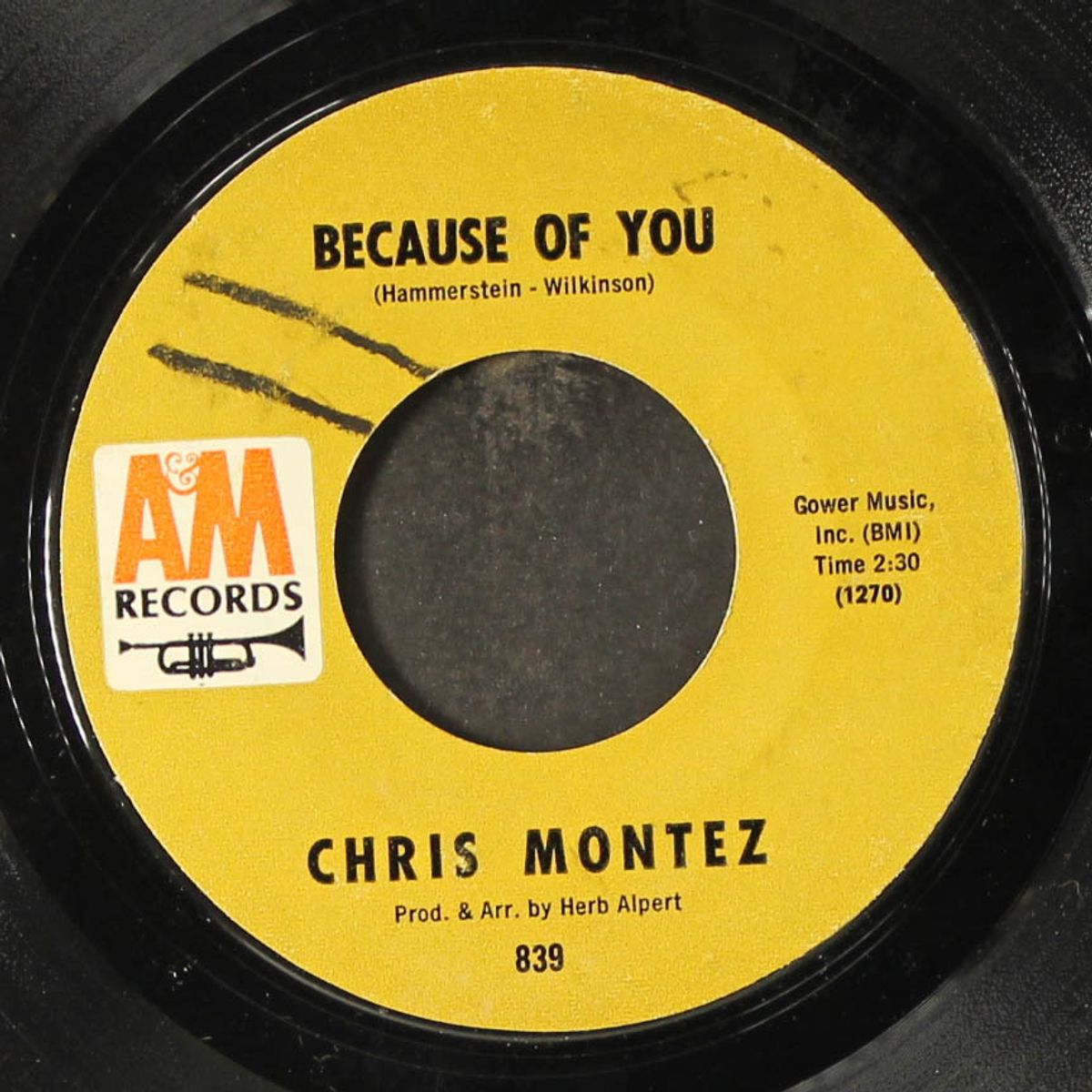 because of you / elena by CHRIS MONTEZ