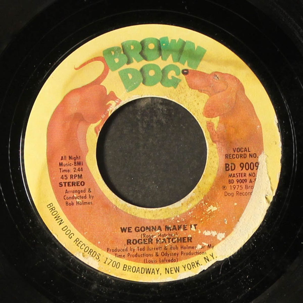 we gonna make it / high blood pressure by ROGER HATCHER