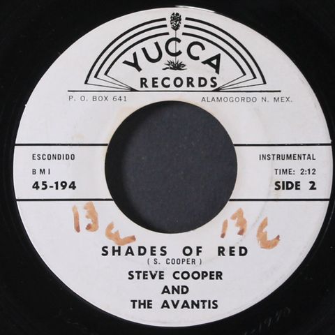 STEVE COOPER & AVANTIS