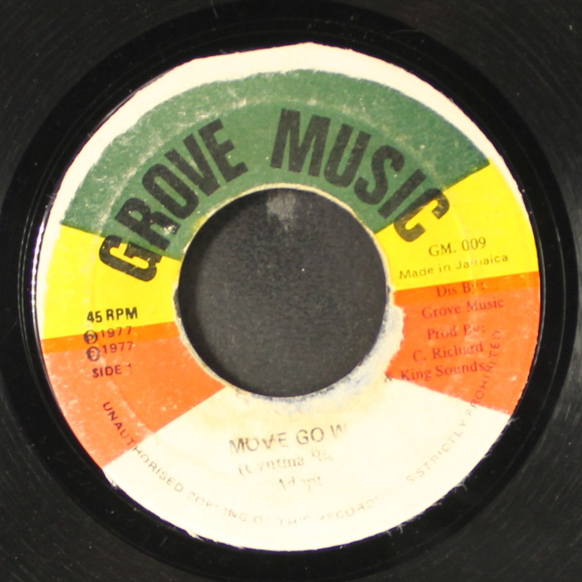 i shall not remove / move go wey by CYNTHIA RICHARD