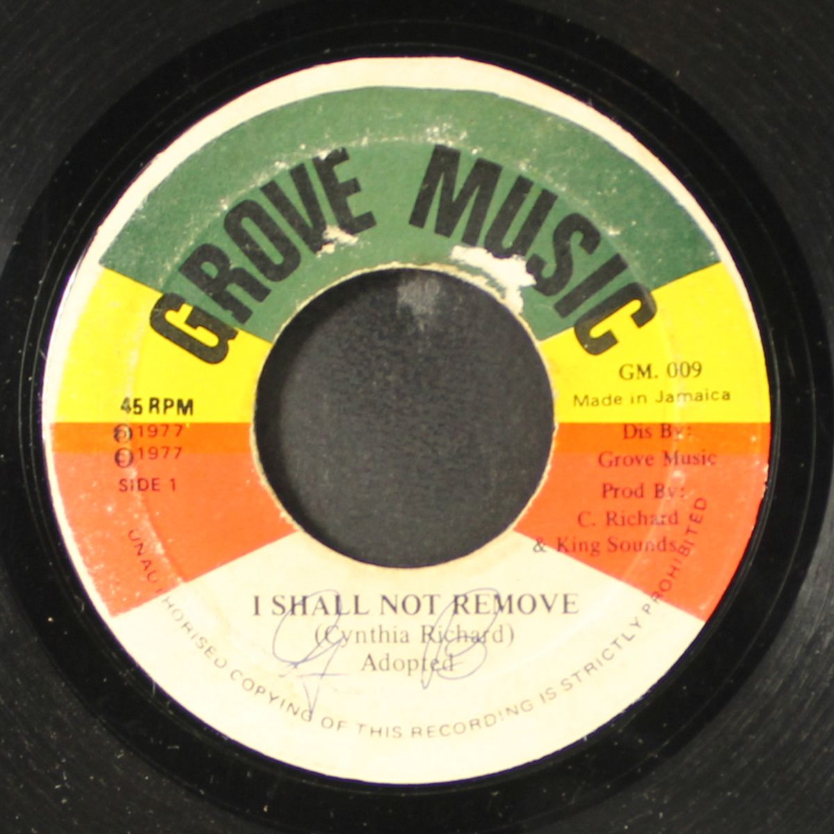 i shall not remove / move go wey by CYNTHIA RICHARD