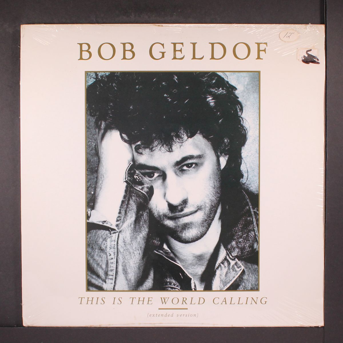 this is the world calling by BOB GELDOF