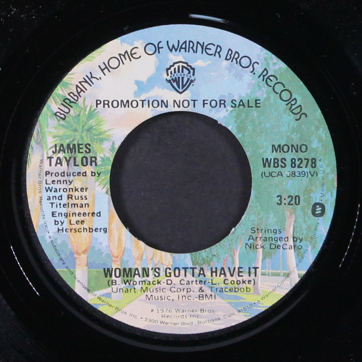 woman's gotta have it / mono by JAMES TAYLOR