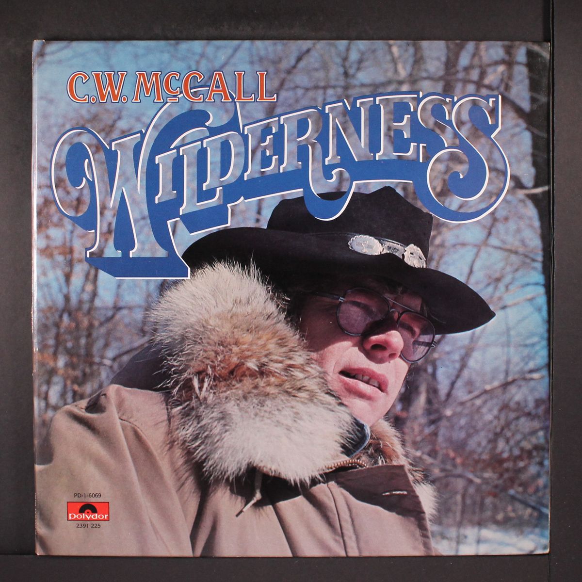 wilderness by C. W. MCCALL