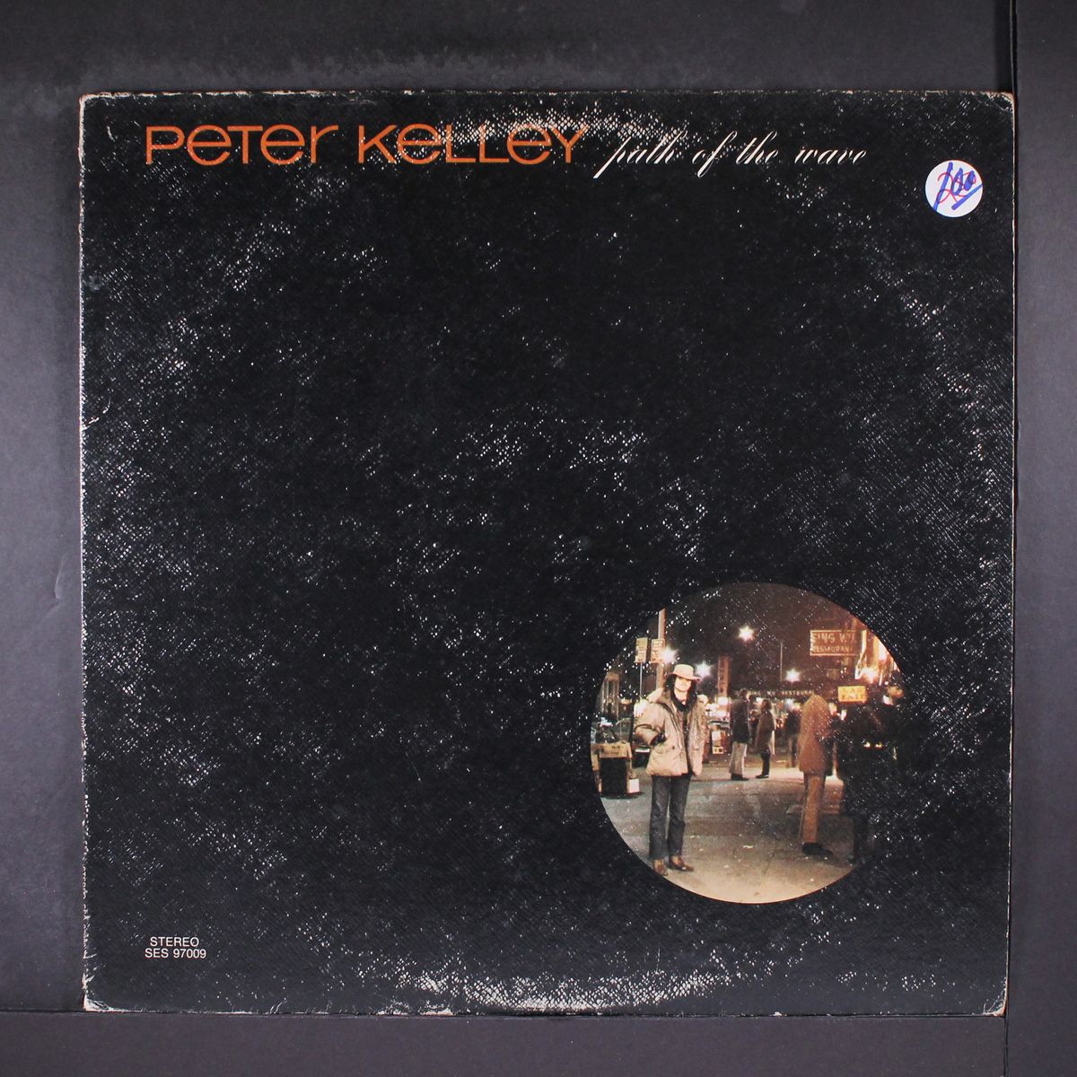 path of the wave by PETER KELLEY