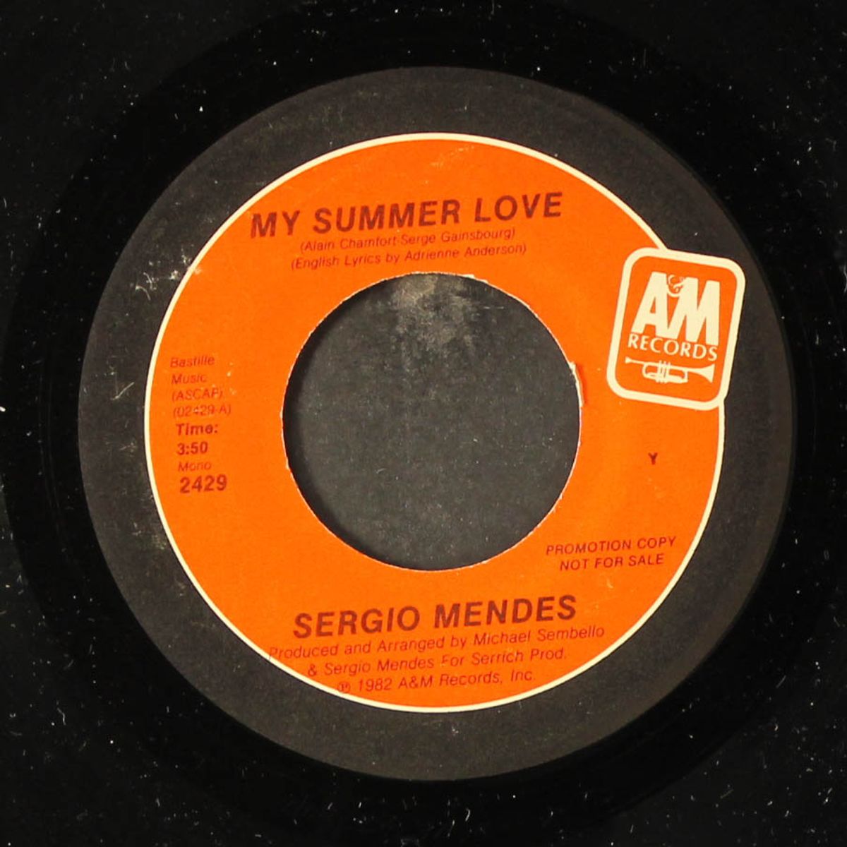 my summer love / mono by SERGIO MENDES