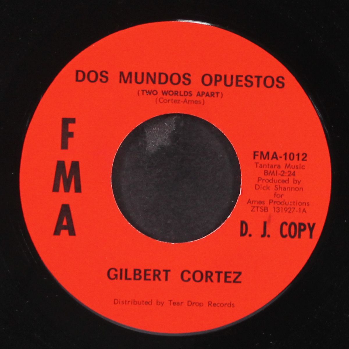 guadalajara / dos mundos opuestos by GILBERT CORTEZ