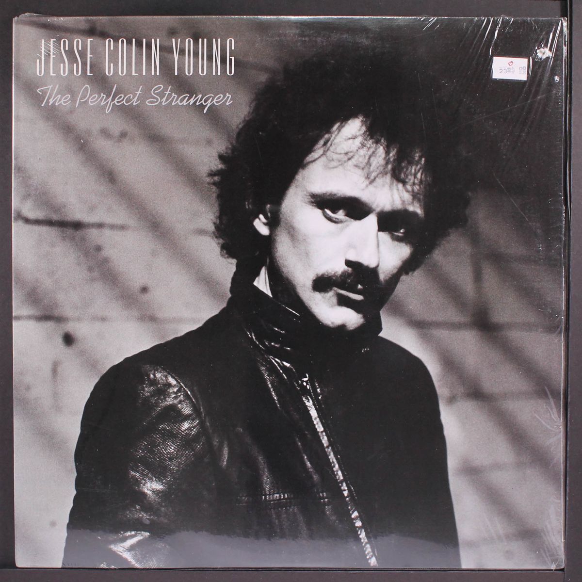 the perfect stranger by JESSE COLIN YOUNG
